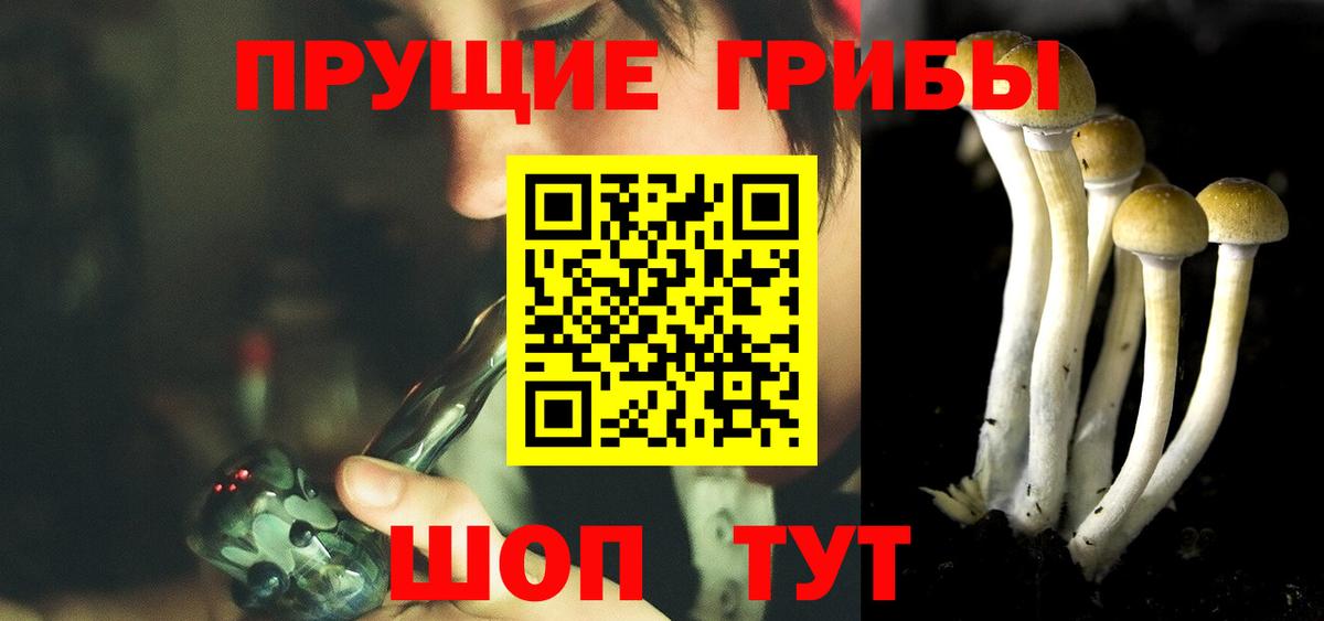 Галлюциногенные грибы Cubensis Заводоуковск