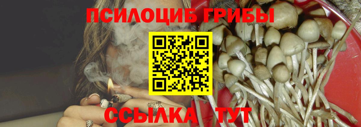 Галлюциногенные грибы мицелий  Вход с VPN  Заводоуковск 