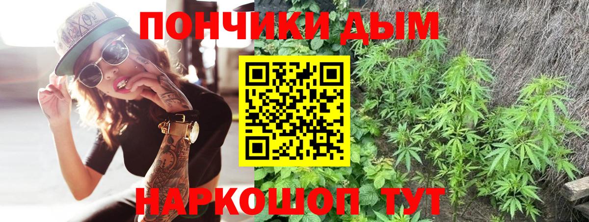 Бошки марихуана Amnesia  Бошки Шишки OG Kush  Вход с VPN  Заводоуковск  Конопля сатива 